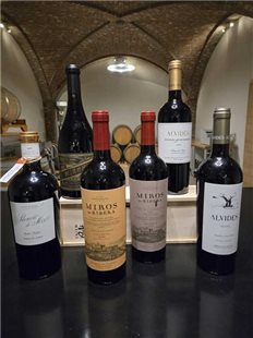 Degustations Paket Ribera del Duero